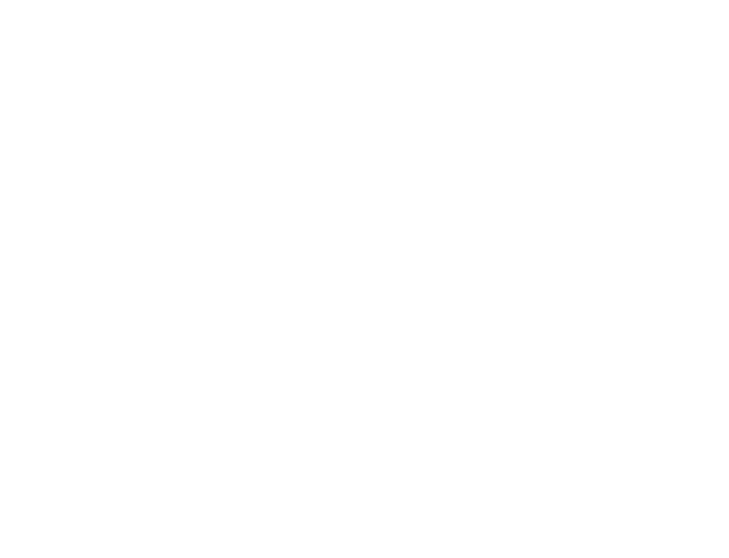 AREANA VIỆT NAM